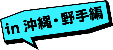 in沖縄・野手編