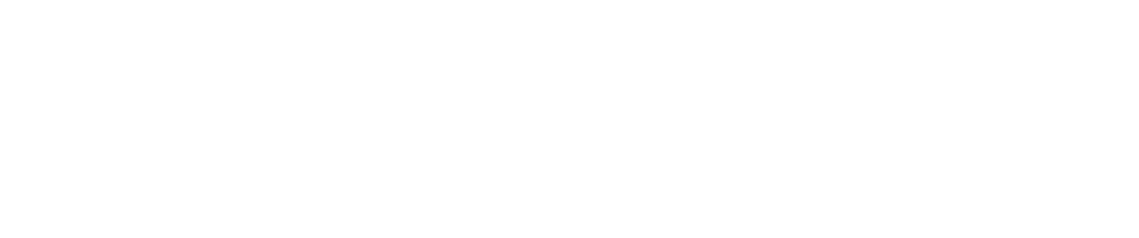 2004年プロ野球再編問題を機に日本各地で日本プロ野球機構とは異なる「独立野球リーグ」が産声を上げた。その独立リーグに今年から新規参入するのがルートインＢＣリーグ「滋賀ユナイテッドＢＣ」。滋賀県では初めて誕生するプロ野球チームで、地元でも熱気を帯び始めている。滋賀ユナイテッドＢＣがチーム運営を任せる首脳陣として命運を託したのは上園啓史監督、桜井広大打撃コーチら元・阪神タイガースの選手たちだった。一時期はスターダムに上り詰めながらも夢半ばで日本プロ野球を去った彼らが、ドタバタの球団運営の中、過去のプロ経験とのギャップに苦しみながらも新たな夢に挑戦する、元阪神タイガースの選手たちの奮闘に密着した。