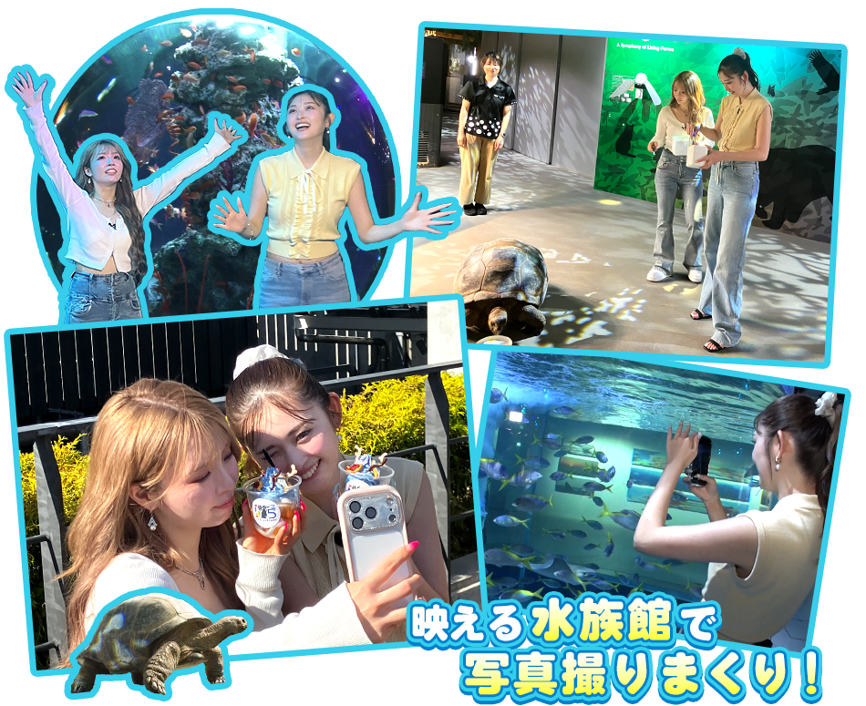 映える水族館で写真撮りまくり！