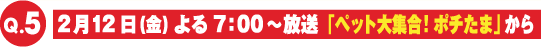 2月12日（金）「ペット大集合！ポチたま」からの出題