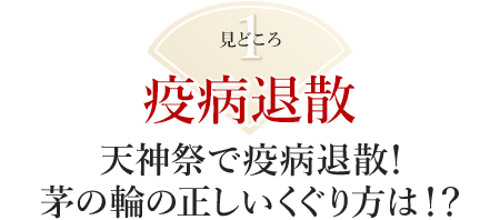 見どころ1:天神祭で疫病退散!茅の輪の正しいくぐり方は!?