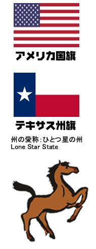 アメリカ国旗、テキサス州旗