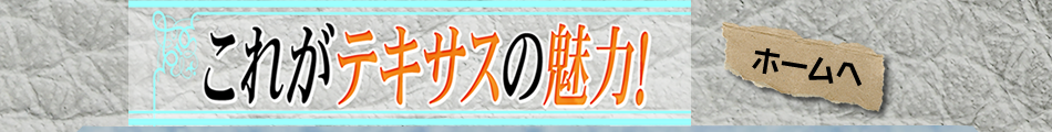 これがテキサスの魅力だ！