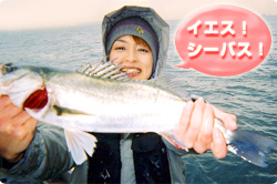 イエス！シーバス！