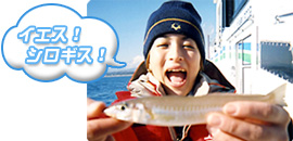 イエス！シロギス！