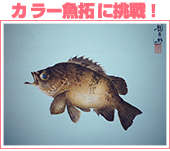 カラー魚拓