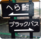 水野裕子