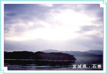 宮城県・石巻