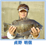 貞野 明信