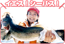 水野裕子