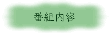 番組内容