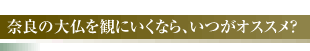 奈良の大仏を観にいくなら、いつがオススメ？