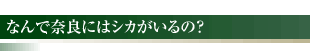 なんで奈良にはシカがいるの？
