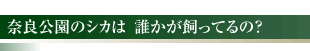 奈良公園のシカは、誰かが飼ってるの？