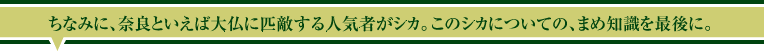 ちなみに、奈良といえば大仏に匹敵する人気者がシカ。このシカについての、まめ知識を最後に。