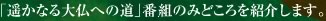 「遥かなる大仏への道」番組のみどころを紹介します。
