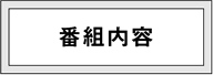 番組内容