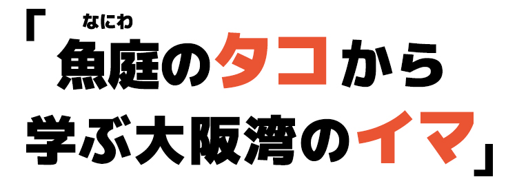 魚庭のタコから学ぶ大阪湾のイマ