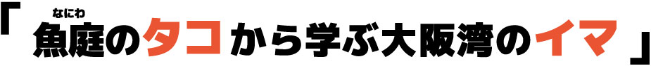 魚庭のタコから学ぶ大阪湾のイマ
