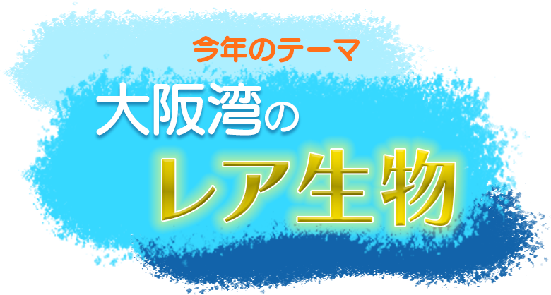 大阪湾のレア生物