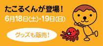 たこるくんが登場！6月18日(土)・19日(日) グッズも販売！
