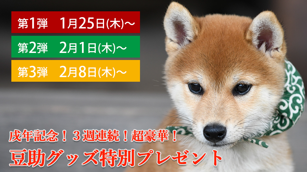 新品】和風総本家 豆助グッズ 豆がま口 www.mundoeia.com.br