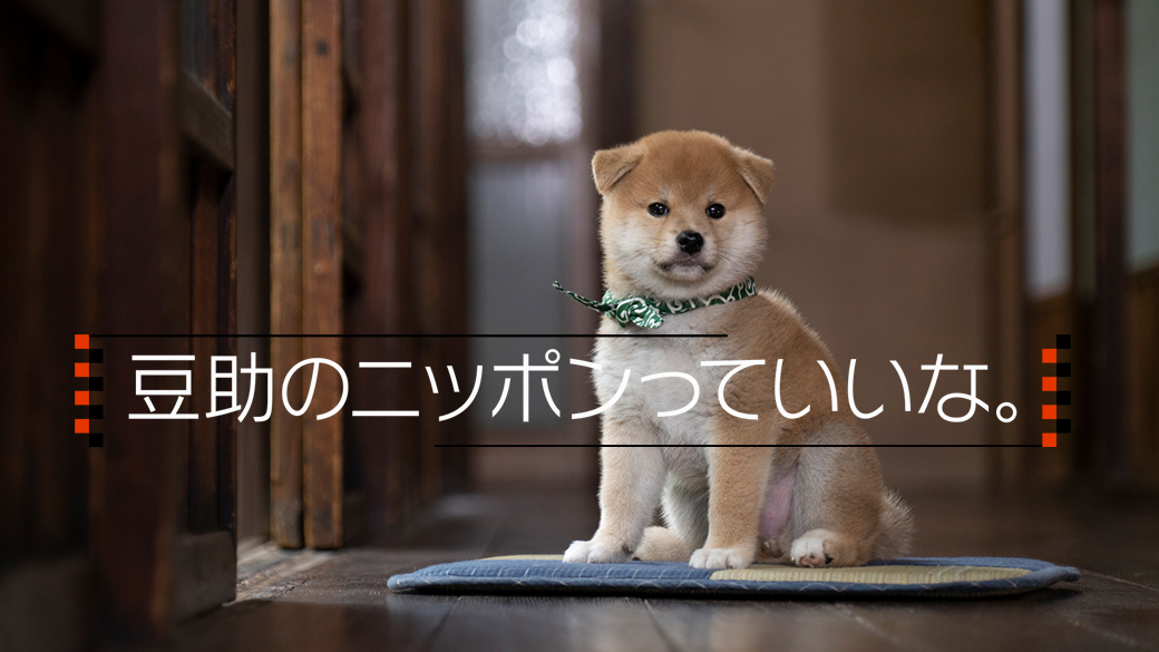 豆助のニッポンっていいな。