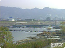 大和川
