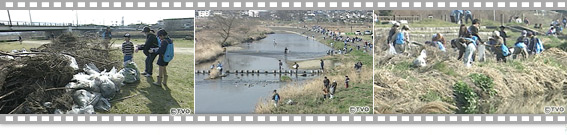 大和川・石川クリーン作戦