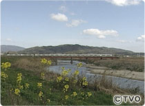 大和川