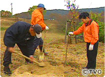 古代の桜の名所を復活したい