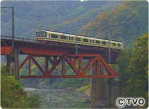 大和川沿いに万葉の風景が戻ってくる日もそう遠くないかも知れません。