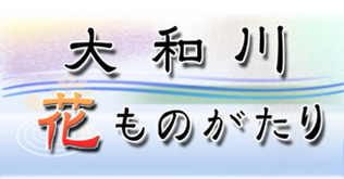 大和川花ものがたり