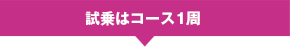 試乗はコース1周