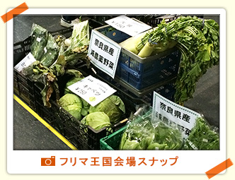 Slideshow Image 7