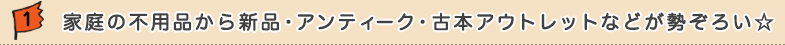 1.ƒ̕spiViEAeB[NEÖ{AEgbg劽}
