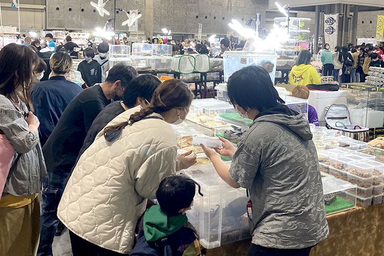 過去の様子