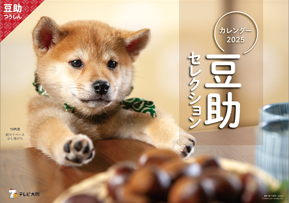 豆助カレンダー2025(壁掛け)の表紙