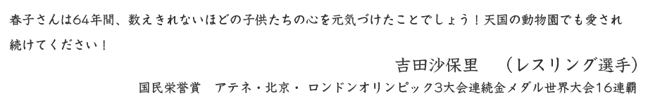 gcۗ̃Rg