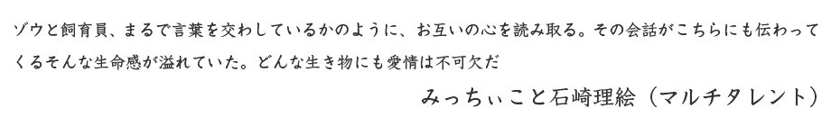 ݂Ɛ΍藝G̃Rg