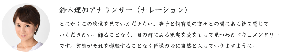 ؗAiET[ii[Vj̃Rg