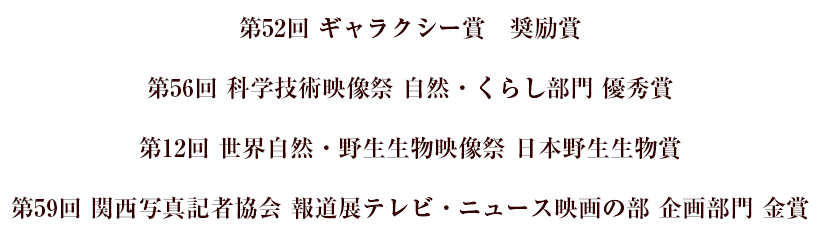ܓe