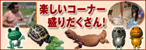 yR[i[肾I
