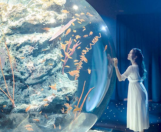 神戸の劇場型アクアリウム「átoa」 ペア招待券